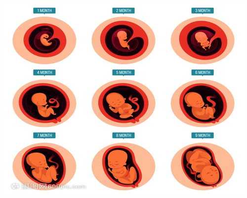 专业卵巢早衰代怀孕包成功_宝宝代孕了多少天该